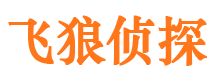 溪湖私人侦探